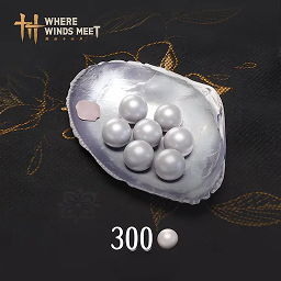 300 Echo Beads