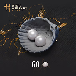 60 Echo Beads