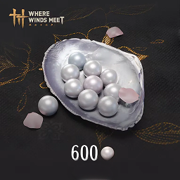600 Echo Beads