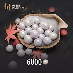 6000 Echo Beads